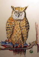 im kleefeld: image 2 0f 4 thumb